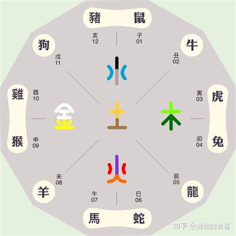 屬豬方位|如何選擇房子方位？8大風水方位與12生肖的完美結合，改變你的。